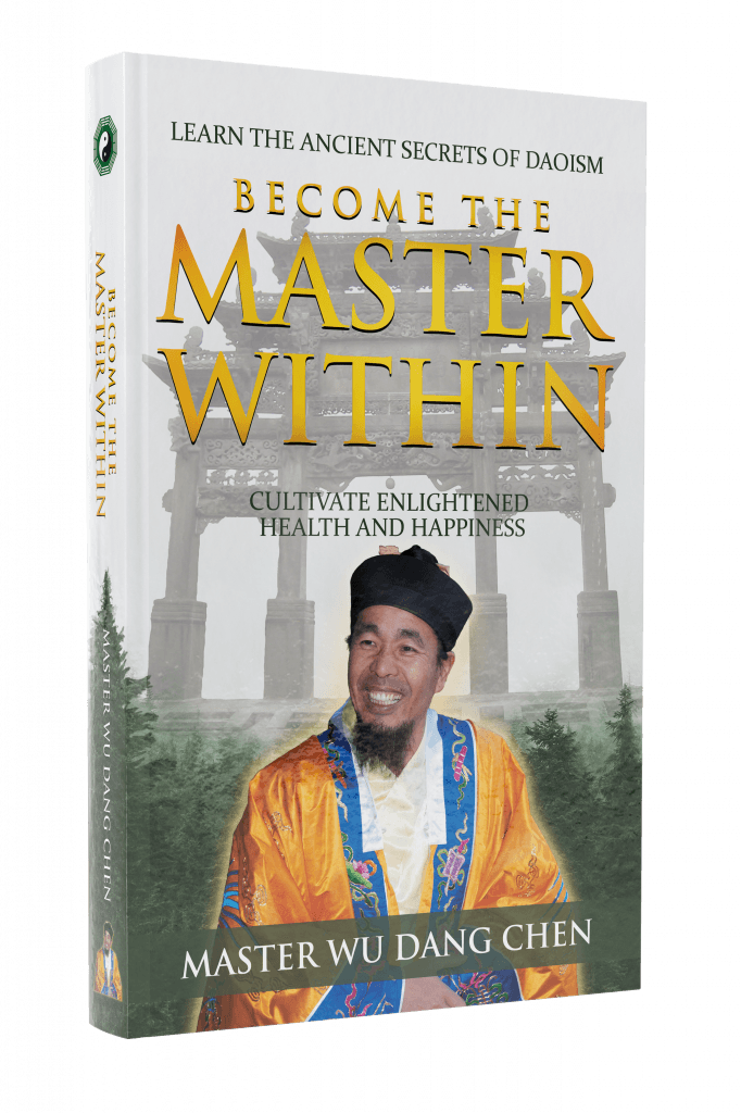 Master Within cover