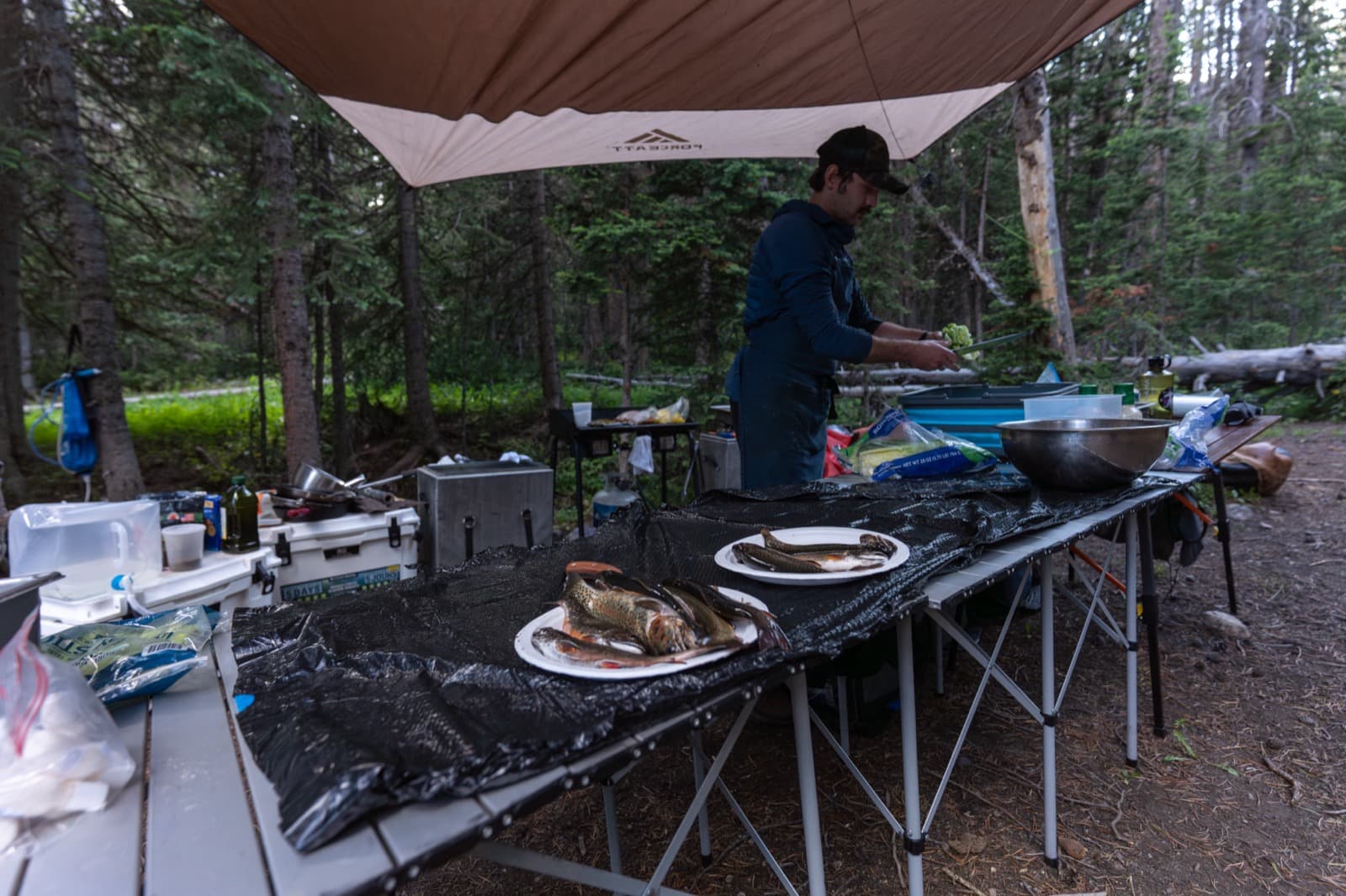 Chef Nick Koch